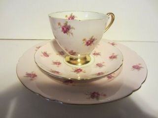 Vintage Shelley Chintz Trio Plate Cup Saucer Humes Rose Ripon Shape Pastel Pink