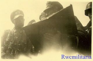 Battle Plans Wehrmacht Ranking Officers Checking Maps; Dnjepr,  Russia