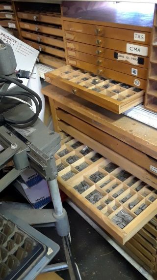 Vintage printers type cabinets,  21 drawers containing over 30 different typefont 3