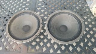Sunn 12 " Vintage Speakers - 16 Ohm - Great For Guitar /tube Amps - Alnico