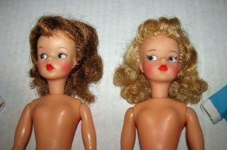 2 Vintage 1960s Ideal Tammy Doll BS - 12 & Clothes 2