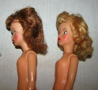 2 Vintage 1960s Ideal Tammy Doll BS - 12 & Clothes 3
