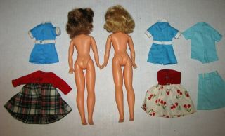 2 Vintage 1960s Ideal Tammy Doll BS - 12 & Clothes 5