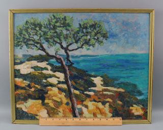 Vintage J Earl Schrack Impressionist Oil Painting,  Cypress Tree California Coast