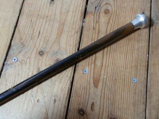 Vintage Walking Stick With Sterling Silver Hallmarked Round Top - 1929 London