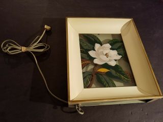 Vintage Formed Products Co Metal Shadow Box Glass Flower Lighted Picture - Usa