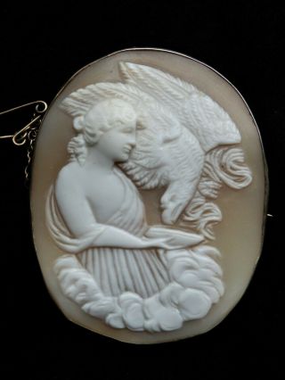 Large Antique Victorian Fine Shell Cameo Brooch Hebe Feeding The Eagle Of Zeus