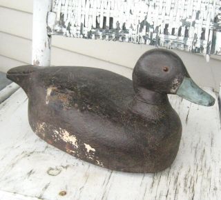 VINTAGE REAL BLACK DUCK CALLING HUNTING PAINTED CARVED WOOD DECOY OF QUEBEC 3