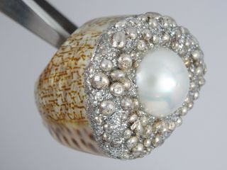 Rare Mesi Jilly Mabe Pearl Cowrie Shell Ring Adorned With Silver Made In Italy