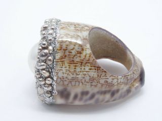 RARE MESI JILLY MABE PEARL COWRIE SHELL RING ADORNED WITH SILVER MADE In ITALY 5