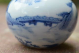 Antique Chinese Blue and White Double - Gourd Small Porcelain Vase 9