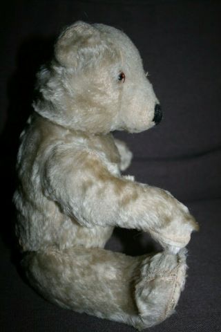 Very rare old antique Chad Valley polar bear 4