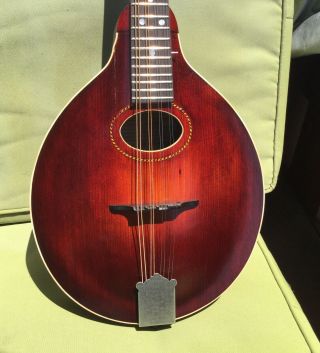 Vintage Gibson Mandolin 1900 - 1920