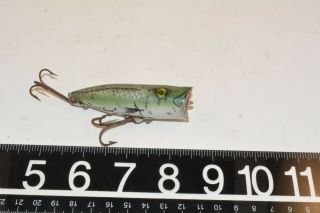 old early heddon chugger spook natural snook very tough color to find 2