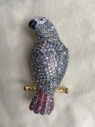 LARGE AFRICAN GREY PARROT PIN BROOCH JOAN RIVERS LIMITED EDITION NR 7