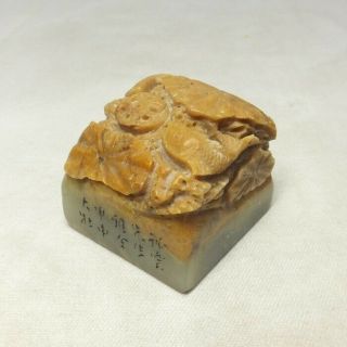 G701: Chinese Stone Ware Seal With Good Carving Of Carp And Lotus Leaf