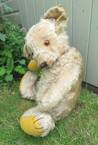 BIG ANTIQUE VINTAGE 1930 ' S MERRYTHOUGHT BINGIE TEDDY BEAR WITH CELLULOID BUTTON 2