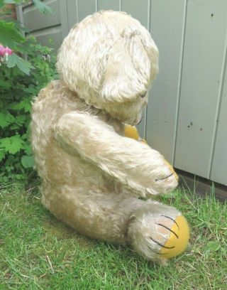 BIG ANTIQUE VINTAGE 1930 ' S MERRYTHOUGHT BINGIE TEDDY BEAR WITH CELLULOID BUTTON 7