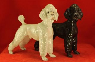 Pair Vintage 7⅛ " Keramos Austria Ceramic Male Poodle Figurines Black White
