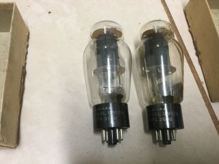 Vintage National union 350b tubes 4