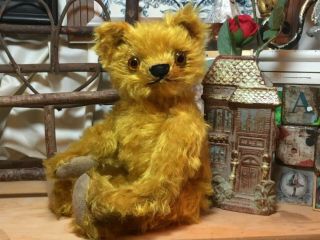 12” Antique 1920s Long Gold Mohair Teddy Bear,  Glass Eyes,  Long Arms