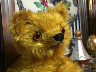 12” ANTIQUE 1920s LONG GOLD MOHAIR TEDDY BEAR,  GLASS EYES,  LONG ARMS 2