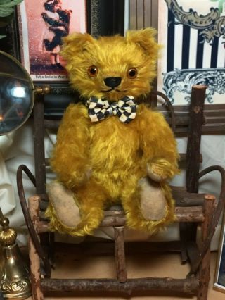 12” ANTIQUE 1920s LONG GOLD MOHAIR TEDDY BEAR,  GLASS EYES,  LONG ARMS 7