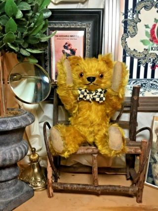 12” ANTIQUE 1920s LONG GOLD MOHAIR TEDDY BEAR,  GLASS EYES,  LONG ARMS 9