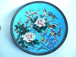 Antique Cloisonne Charger Plate 12 Inches Wide. . .  Rf.  1767