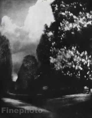 1904/63 Vintage Print 11x14 Chestnut Trees Landscape Photo Art Edward Steichen