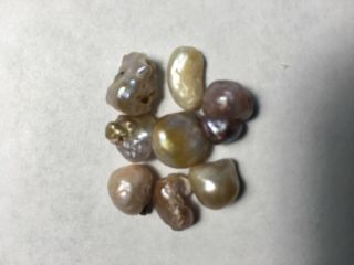 Vintage Mississippi River Pearls Mixed Colors Rare Find 8 Pearls 5.  3 Grams