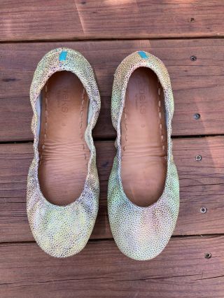 Toscani Tieks Color Changing Hand Painted Rare Leather Ballet Flats Size 8