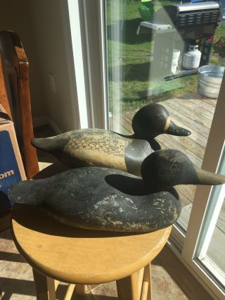 2 Duck Decoys Mason Pratt Hayes?