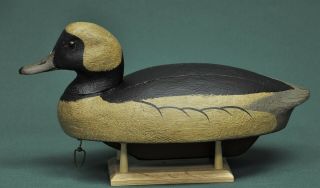 Rare Ben Schmidt Bufflehead Drake Duck Decoy Restored By Darkfeather Freedman