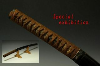 Japan Antique Edo Dragon Wakizashi Koshirae Kabuto Samurai Sword Katana Yoroi 武将