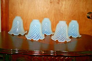 5 Vintage Fenton Opalescent Lamp Shades Twist Pattern Hand Blown Art Glass 6