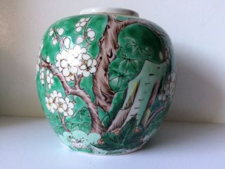 Antique Chinese Porcelain Blossom Prunes Design Signed Ginger Jar