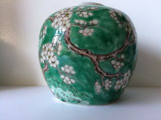 Antique Chinese Porcelain Blossom Prunes Design Signed Ginger Jar 2