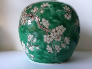 Antique Chinese Porcelain Blossom Prunes Design Signed Ginger Jar 3