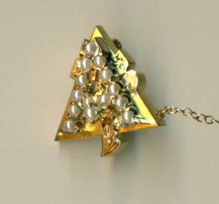 Vintage Alpha Gamma Delta sorority fraternity gold pearl Minnesota pin - Wow 3