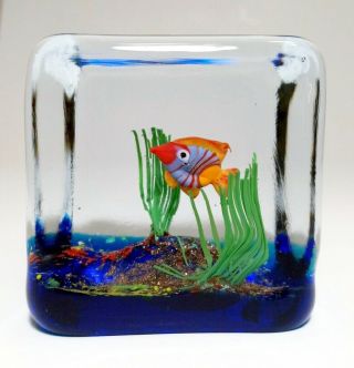 Vtg Murano Tropical Fish Aquarium Glass Paperweight Art Glass 2 - 1/2 " Square Cube