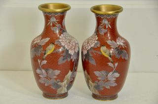 Vintage Chinese Import Cloisonne Vases With Birds & Flowers 9 - 1/4 " High