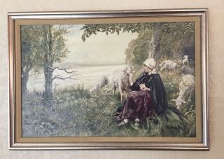 Antique Bucolic Sheep In Landscape Oil Painting On Canvas Signed