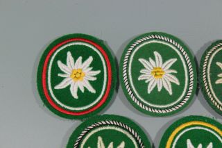 Post WW2 West German Bundeswehr Mountain Troop Gebirgsjager Edelweiss Patch F249 2