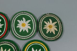 Post WW2 West German Bundeswehr Mountain Troop Gebirgsjager Edelweiss Patch F249 3