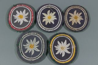 Post WW2 West German Bundeswehr Mountain Troop Gebirgsjager Edelweiss Patch F249 5