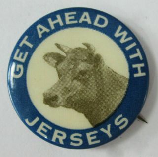 Vintage Dairy Cow Advertising Pinback Buttons Guernsey Brown Ayrshire Jersey (4)