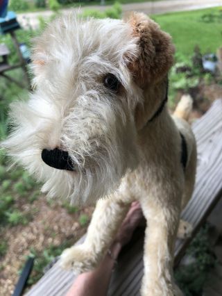 Wonderful Vintage Steiff Mohair Standing Terrier 9” Tall