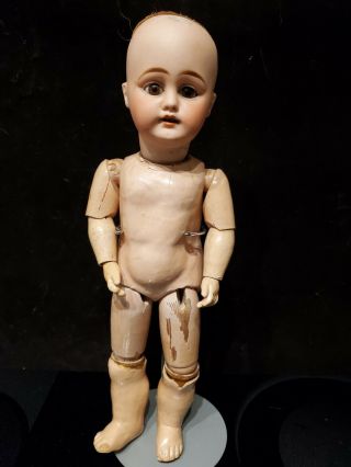 Antique 14 " Sfbj? French Bisque Head Doll Size Mold 3