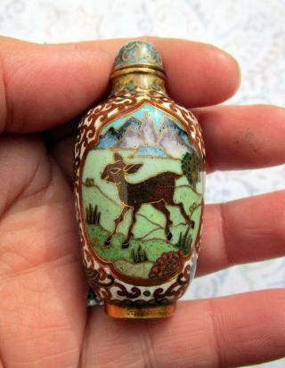 Chinese Qing Dynasty Antique Cloisonné Snuff Bottle -